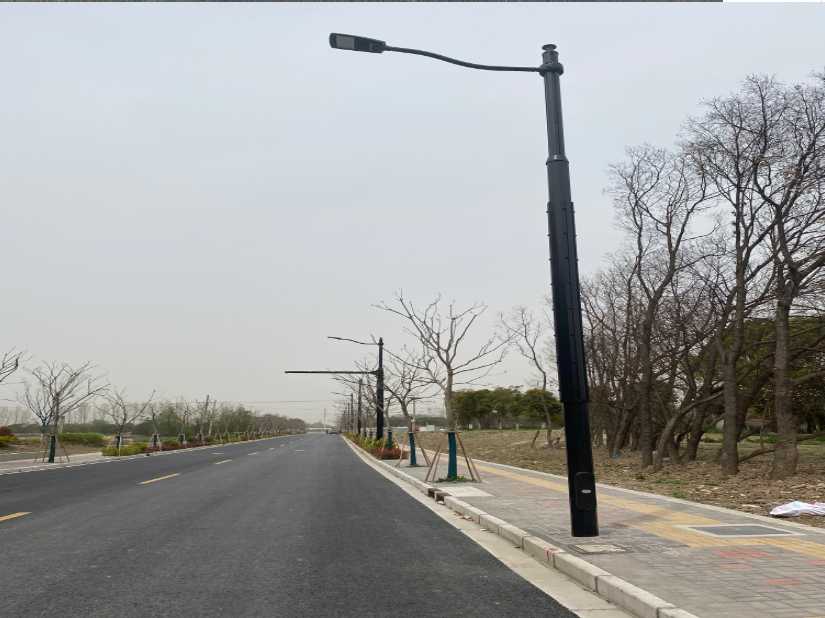 富顺县上海综合杆 太阳能路灯工程